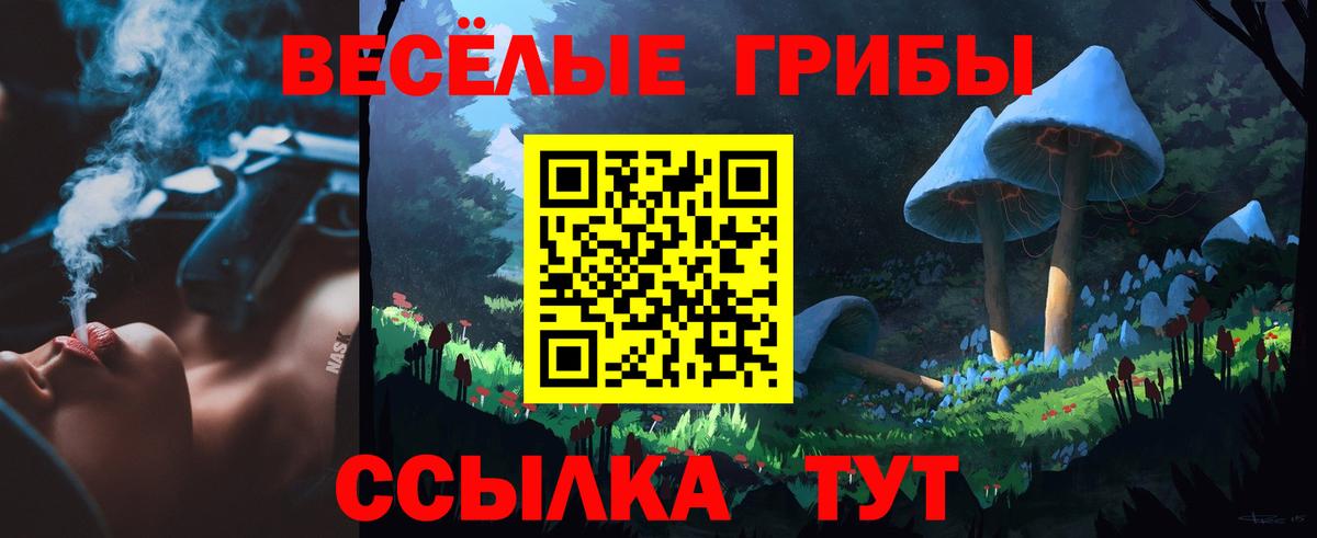 Псилоцибиновые грибы Psilocybine cubensis Кандалакша